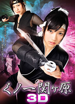 关原战场上的淫乱女忍者